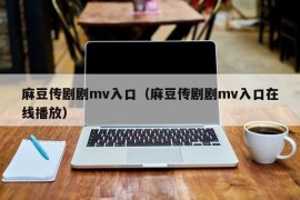 麻豆传剧剧mv入口（麻豆传剧剧mv入口在线播放）